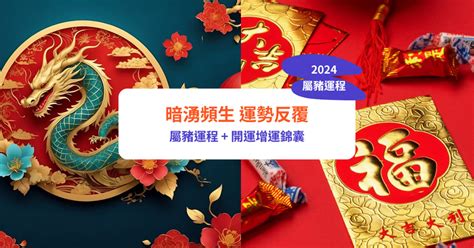 2024 屬豬運勢|【屬豬2024生肖運勢】暗湧頻生，運勢反覆｜屬豬運 